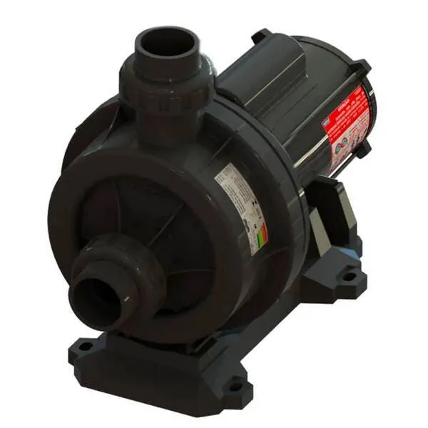 Bomba Hidromassagem Piscina 1cv Bhgw100 - Sodramar (weg) - Monofásico