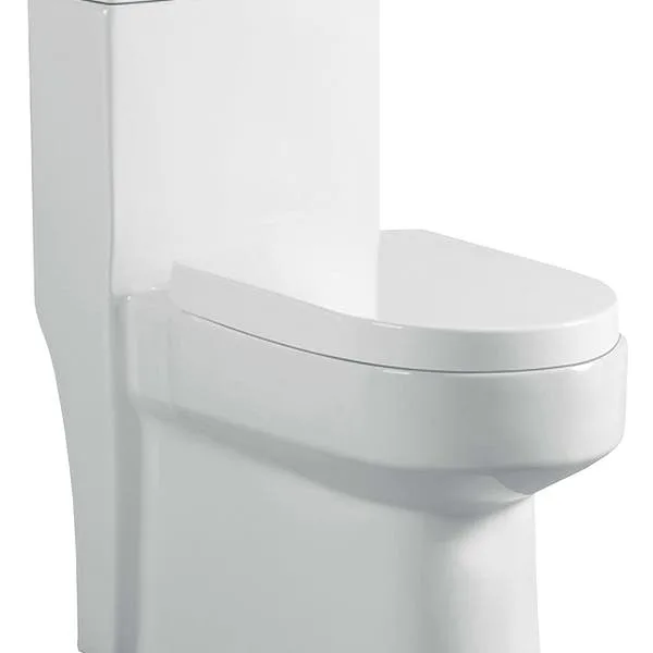 Vaso Sanitário Monobloco Reno R 250